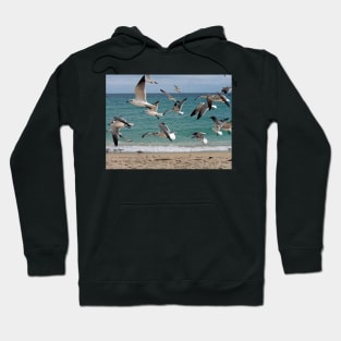 Birds in Flight Over Beach Hoodie